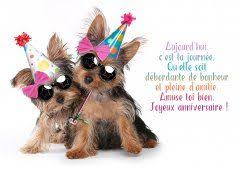 Créations par dromadaire si vous personnalisez votre carte et cartes animaux virtuelles gratuites. Carte Virtuelle Gratuite Carte Anniversaire Animee Carte Bon Anniversaire Carte Anniversaire Drole