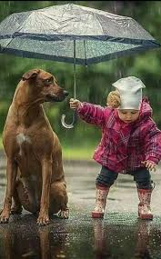 Top 11 Amazing Pictures Of Childrens With Their Pets By Pets Planet Baby Animals Animals Cute Animals