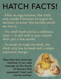 16 Fake Science Facts About Animals You Will Need To Read More Than Once Animal Facts Science Facts Science