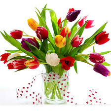 Hoa tulip hoa tết đẹp , ý nghĩa mang lại sắc xuân cho mọi không gian