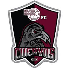 Previo al compromiso de ida de semifinales del torneo guard1anes clausura 2021, la liga mx, el club pachuca, las autoridades estatales y municipales sostuvieron la reunión de seguridad para. Cuervos De Silver Soccer Futbol Mexicano Wiki Fandom