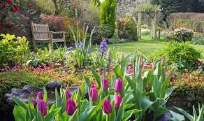We take care of everything you can think of, from roofing to painting to other general home services. Plants Delivered To Your Home Best Places To Shop For Plants Online Near Me Express Co Uk