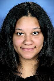 middletown area high school lower dauphin high school steelton-highspire  high school