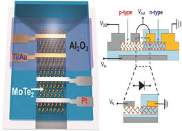 Effect of transistor size on vtc. Homogeneous 2d Mote2 P N Junctions And Cmos Inverters Formed By Atomic Layer Deposition Induced Doping Lim 2017 Advanced Materials Wiley Online Library