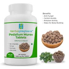 Image result for Pedalium murex