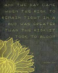 Anais Nin Quotes About Life Quotesgram