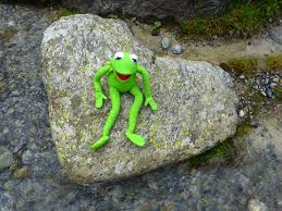 Horses, giraffes, zebra, lions, tigers & more canvas prints. Kermet The Frog Wearing Sneakers Plush Toy Free Image Peakpx