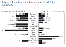 Anorexia nervosa and bulimia nervosa are the only eating disorders included in the global burden of diseases, injuries, and risk factors study (gbd). Global Public Health Burden Of Heart Failure Cfr Journal