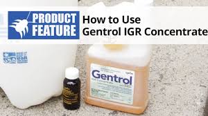 Keep in mind that practice makes perfect and if you stay focused on your goal, you will get your void knight. How To Do A General Pest Control Treatment Diy Pest Control Domyown Com Youtube