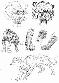 Ken Hultgren The Art Of Animal Drawing Book Fresh The Art Of Animal Drawing By Ken Hultgren Animal Sketches Animal Drawings Drawings