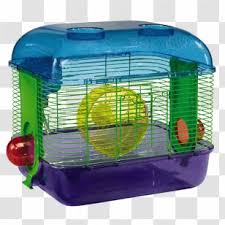 102 transparent png of hamster. Hamster Png Images Transparent Hamster Images