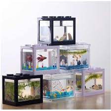 Memelihara ikan cupang memang tengah kembali menjadi tren di berbagai kalangan. Jual Unik Aquarium Ikan Cupang Akrilik Akuarium Mini Acrylic Mi 08 Transparan Led Limited Di Lapak Anor Cell Bukalapak