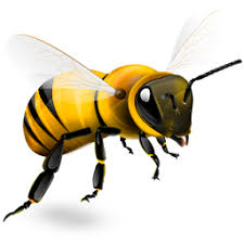 Exposed hive removals including trees, bushes, light fixtures and other outdoor structures at nearly any height. Bee Removal Las Vegas No Kill Bee Relocation Beehive Removal