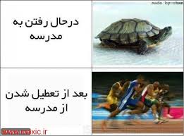 عکس های باحال ( ضرر نمیکنی ) .. ( واتس آپی ) سری 3 1