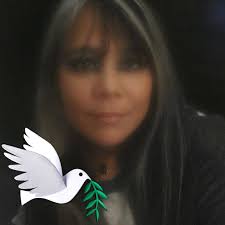 Snow removal services in Traverse City, MI