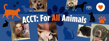 Maybe you would like to learn more about one of these? Acct Philly Home Facebook