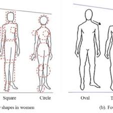 Size Chart Of An Ideal Womens Body Shape Triangle