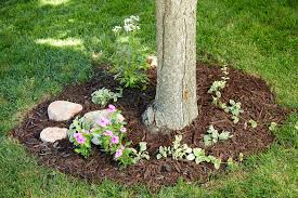 Check spelling or type a new query. How To Landscape Around Trees Better Homes Gardens