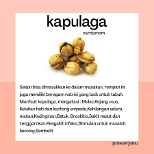 You need to be logged in to favorite. Meser Jamu Home Facebook
