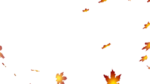 Choose from 1600+ fall leaves graphic resources and download in the form of png, eps, ai or psd. Leaves Falling Transparent Gif Animated Falling Leaves Background Gifs Tenor How To Download Falling Leaves Png Su Frameall The Falling Leafs Png Shown Above Are Just For Sample And Not In