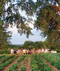 Lovely From Farm To Table Farm Outdoor Party
