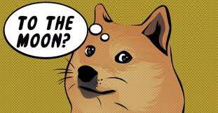 Their inspiration was a famous doge meme. The Node Dogecoin Is A Joke Get Over It Coindesk