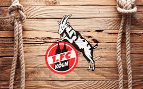 Geschichten aus köln und noch vieles mehr. 1 Fc Koln Wallpapers Wallpaper Cave