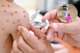 Sve vesti dana na temu : Romana Radović