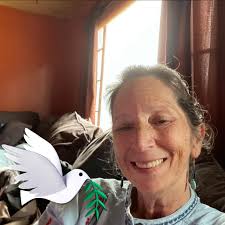 Ojibwe Peoples and History Discussion