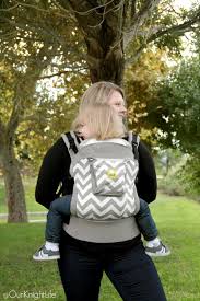 Lillebaby Essentials Baby Carrier Review Lillebaby Carrier