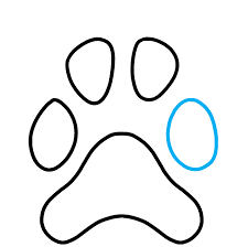 To finish, draw in lines for the hairs and then finish off the paw with. How To Draw A Dog Paw Print Really Easy Drawing Tutorial