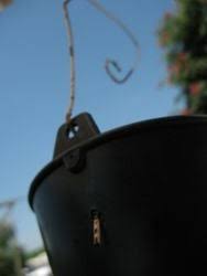 Most of them have two different kinds of bait to lure the. Japanese Beetle Trap 5 Steps With Pictures Instructables