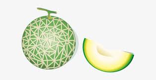 Kumpulan gambar tentang gambar pohon melon, klik untuk melihat koleksi gambar lain di kibrispdr.org. Cantaloupe Hami Melon Fruit Cantaloupe Can Kartun Gambar Buah Melon Free Transparent Png Download Pngkey