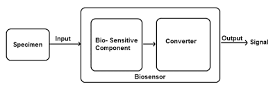 Hasil gambar untuk input and output bio sensor