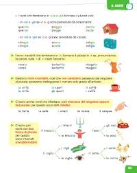 Pertanto in italiano il plurale si forma cambiando la desinenza del singolare, ossia l'elemento variabile che si trova alla fine di ogni parola e che indica genere e numero nei nomi; Page 57 Parola Di Libro 4 Grammatica
