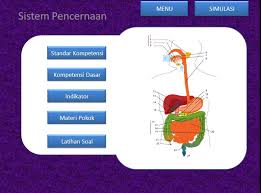 Check spelling or type a new query. Media Interaktif Ppt Blogpgpa