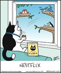 Off The Mark By Mark Parisi For May 19 2020 Gocomics Com In 2020 Cats Funny Cartoon Cat Jokes Funny Cartoons
