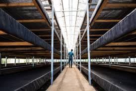 Functional aesthetics and intuitive operation: Tips To Create A Business Plan For Your Coffee Farm Perfect Daily Grind