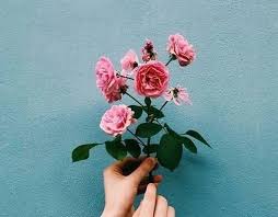 Pink and <b>blue interior design: Aesthetic Blue And Pink Image 4107188 On Favim Com