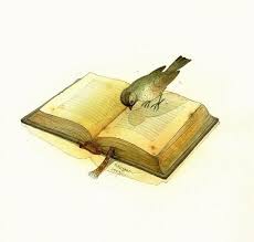 Book Bird Reader Book Images Book Art Open Book