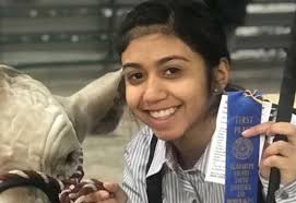 Let the bidding begin