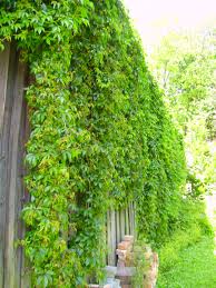 Pin On Lebensbalance