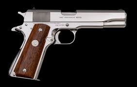 Image result for Silver 1974 Colt
