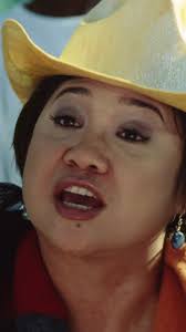 Anne Curtis and Luis Manzano's Cute TikTok Moments