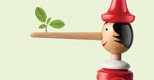 Business Professor Tom Lyon '81 Tackles Corporate Accountability