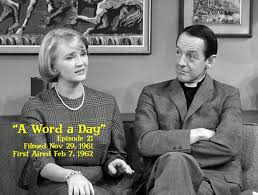 Image result for image of william schallert leah waggner