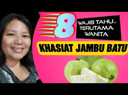 Jual bibit tanaman buah jambu madu deli hijau kualitas unggul harga murah dengan daging renyah, tanpa biji, rasa manis, cepat berbuah dan produktifitas tinggi. 8 Khasiat Daun Dan Buah Jambu Batu Wajib Tahu Maihibiscuschannel Youtube