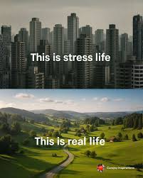 The contrast between the crowded city skyline and the peaceful countryside  demonstrates how surroundings influence emotional wellbeing. Busy concrete  environments overload the senses and strain the nervous system, often  leading to fatigue,