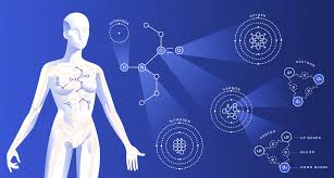 Maybe you would like to learn more about one of these? The Particle Physics Of You Department Of Energy