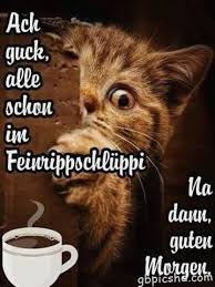 guten morgen lustige bilder guten morgen lustig lustige guten morgen bilder guten morgen